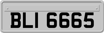 BLI6665