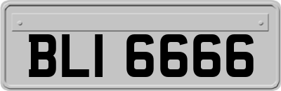 BLI6666