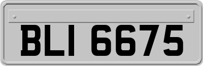 BLI6675