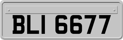 BLI6677