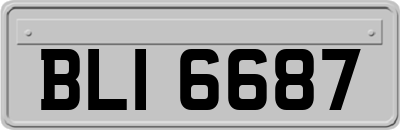 BLI6687