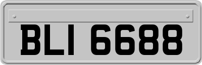 BLI6688
