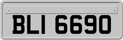BLI6690