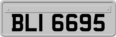 BLI6695