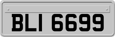 BLI6699