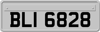 BLI6828