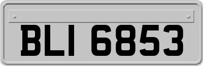 BLI6853