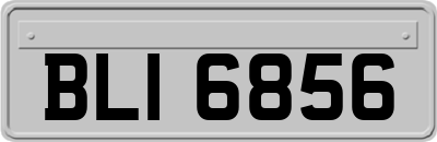BLI6856
