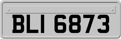 BLI6873