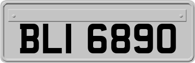 BLI6890