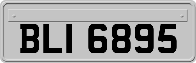 BLI6895
