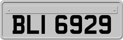 BLI6929