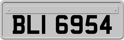 BLI6954
