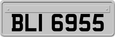 BLI6955