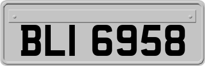 BLI6958