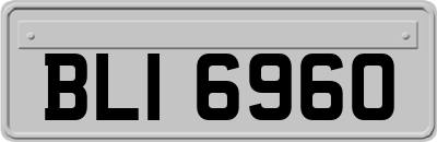 BLI6960