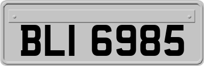 BLI6985