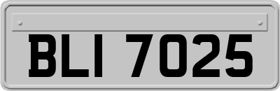 BLI7025