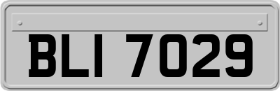 BLI7029