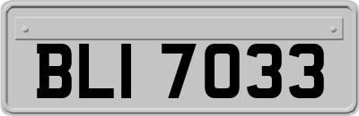 BLI7033