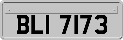 BLI7173