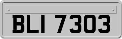 BLI7303