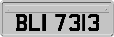 BLI7313