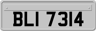 BLI7314