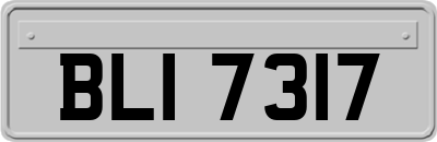 BLI7317