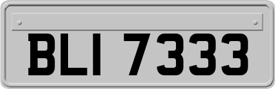 BLI7333