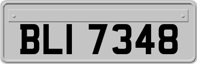 BLI7348