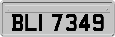 BLI7349