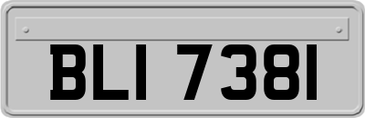 BLI7381