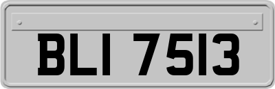 BLI7513