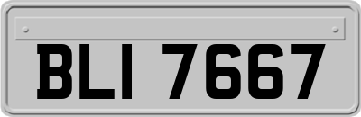 BLI7667