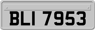 BLI7953