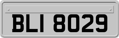 BLI8029