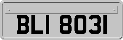 BLI8031