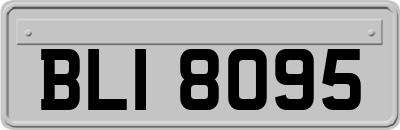 BLI8095