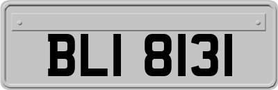 BLI8131