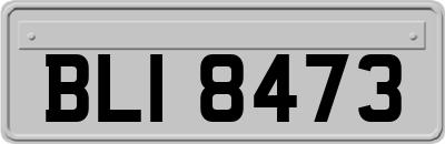 BLI8473
