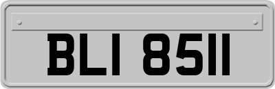 BLI8511