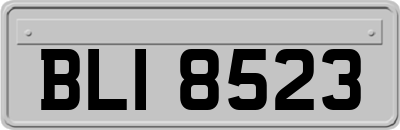 BLI8523
