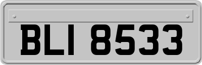 BLI8533
