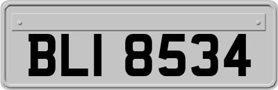 BLI8534