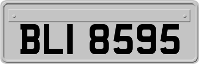 BLI8595