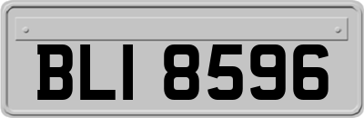 BLI8596
