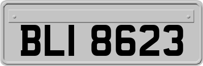 BLI8623