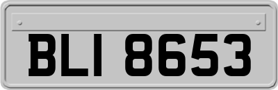 BLI8653