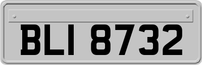 BLI8732